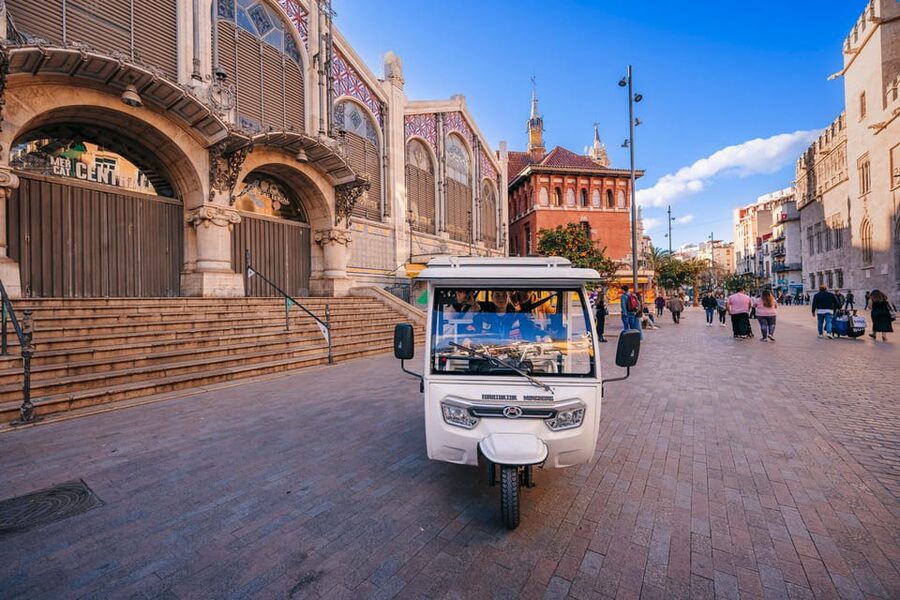 Valencia 1 hour by TukTuki: Essential and Private Tour - Is $35 per person fair value?