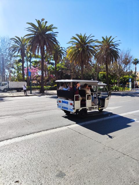 Valencia: 2-hour City Highlights Guided Tuk-Tuk Tour - What the private format changes