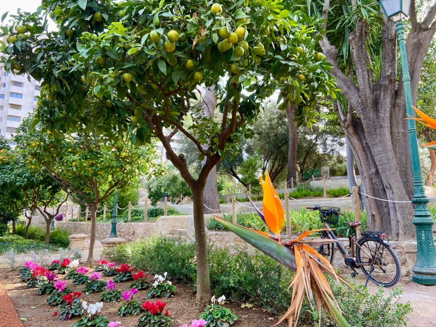 Valencia: 2-in-1 Biking and Walking Audio-Guided Route - Practical ways to plan the eight days