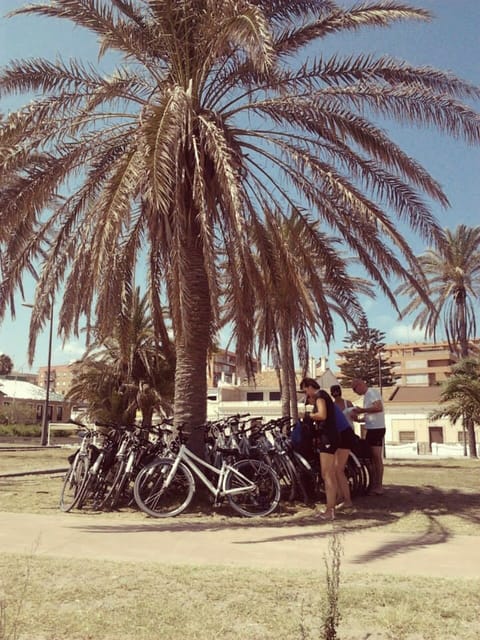 Valencia: 3-Hour City Bike Tour - Should you book PassionBike’s Valencia ride?