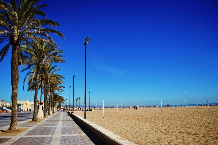 Valencia: 3-Hour Guided City Sightseeing & Beaches Bike Tour - Following the Turia Gardens through the city