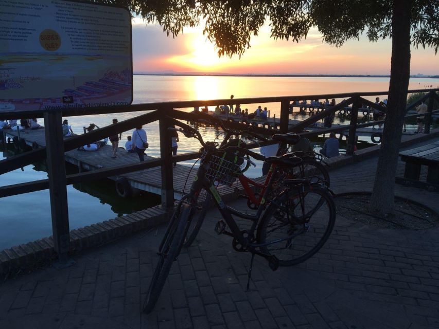 Valencia: Albufera Natural Park Bike and Boat Tour - A 50-minute electric cruise on Albufera Lake