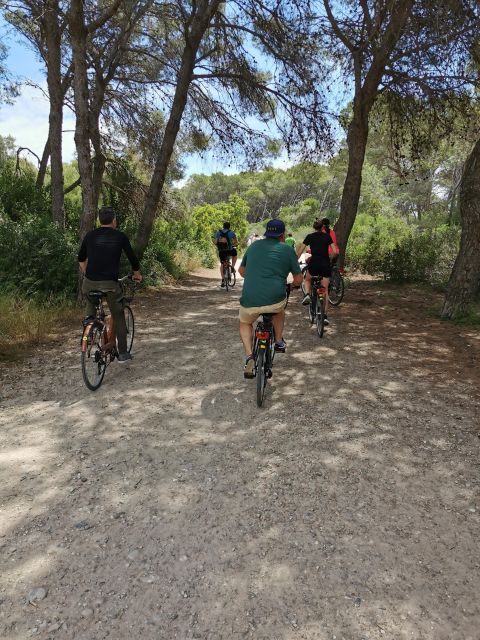 Valencia: Albufera Natural Park Bike and Boat Tour - What the $43 price really covers