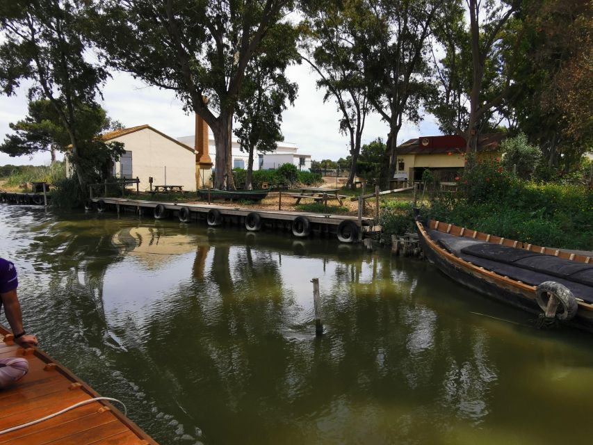 Valencia: Albufera Natural Park Bike and Boat Tour - Heat, wind, and the practical limits