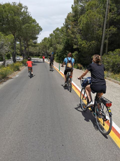 Valencia: Albufera Natural Park Bike and Boat Tour - Should you book the Albufera bike and boat tour?