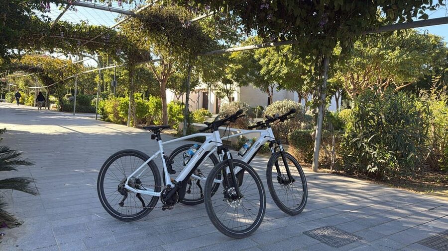 Valencia all in one: beaches, old town & city arts by E-bike - The Central Market and Silk Exchange