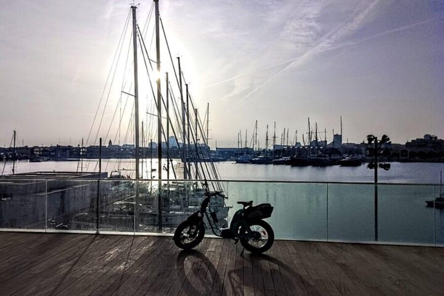 Valencia all in one: beaches, old town & city arts by E-bike - Plaza de la Verge, the Cathedral, and Roman Valencia