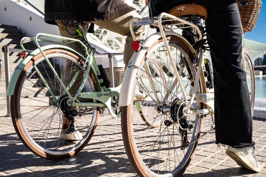 Valencia: Audioguide eng,esp,ita + Bike All Day - Crossing more of the city by bike