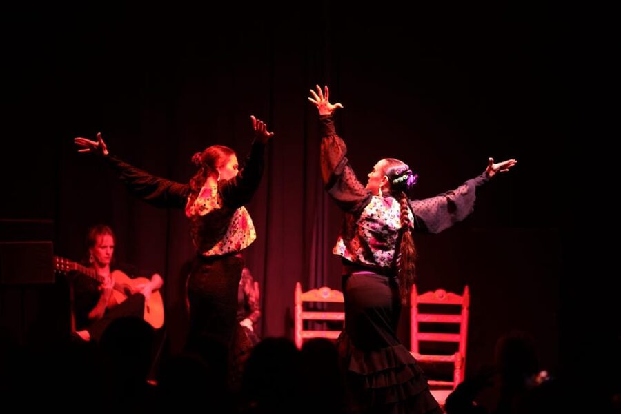 Valencia: Authentic Flamenco Show Entry Ticket - What happens during the performance