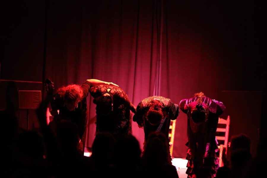Valencia: Authentic Flamenco Show Entry Ticket - The value of a close seat