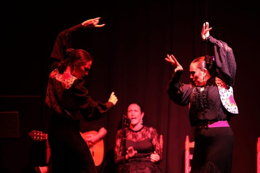 Valencia: Authentic Flamenco Show Entry Ticket - Is $23 a fair price?