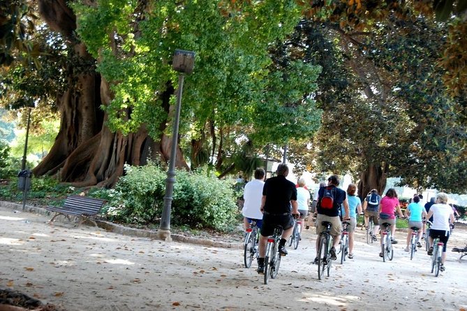 Valencia Bike or Segway Tour - Timing, pickup, and practical planning