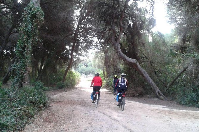 Valencia Bike or Segway Tour - Sports, music, and family stops along the way
