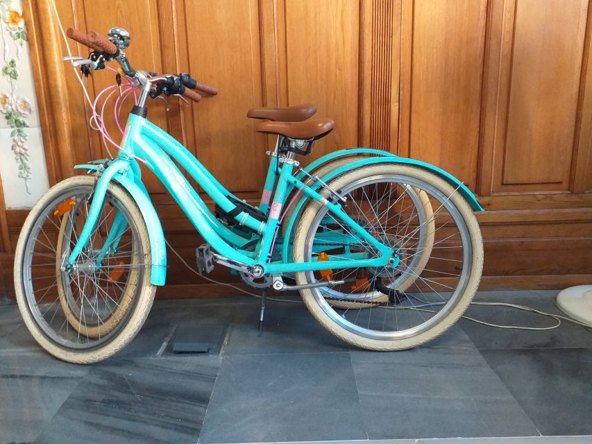 Valencia: Bike Rental for 1 to 4 Days - Why a bicycle suits Valencia so well