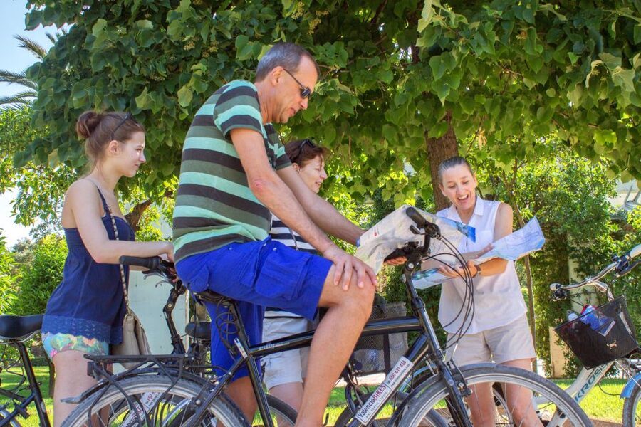 Valencia Bike Tour - Bridges, museums, and the Palace of Music