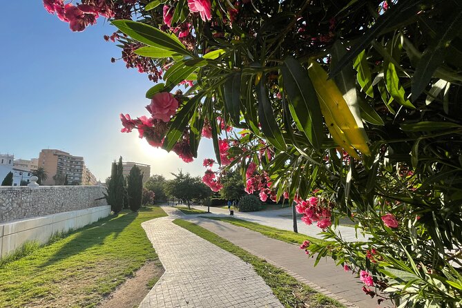 Valencia Bike Tour: Top Sights and City of Arts & Sciences - Pont del Mar and the Palace of Music