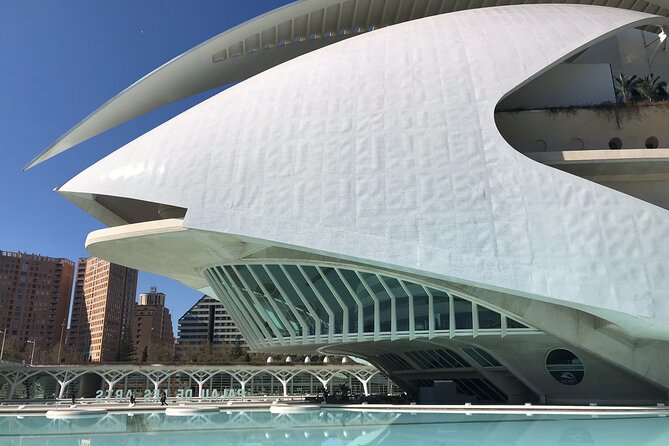 Valencia Bike Tour: Top Sights and City of Arts & Sciences - What the guides add to the ride