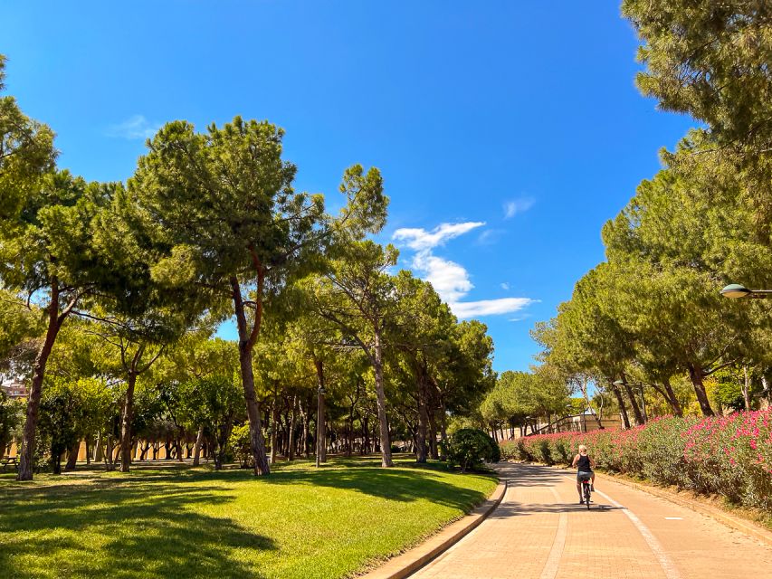 Valencia Bike Tours: City Highlights - What the guides add to the ride