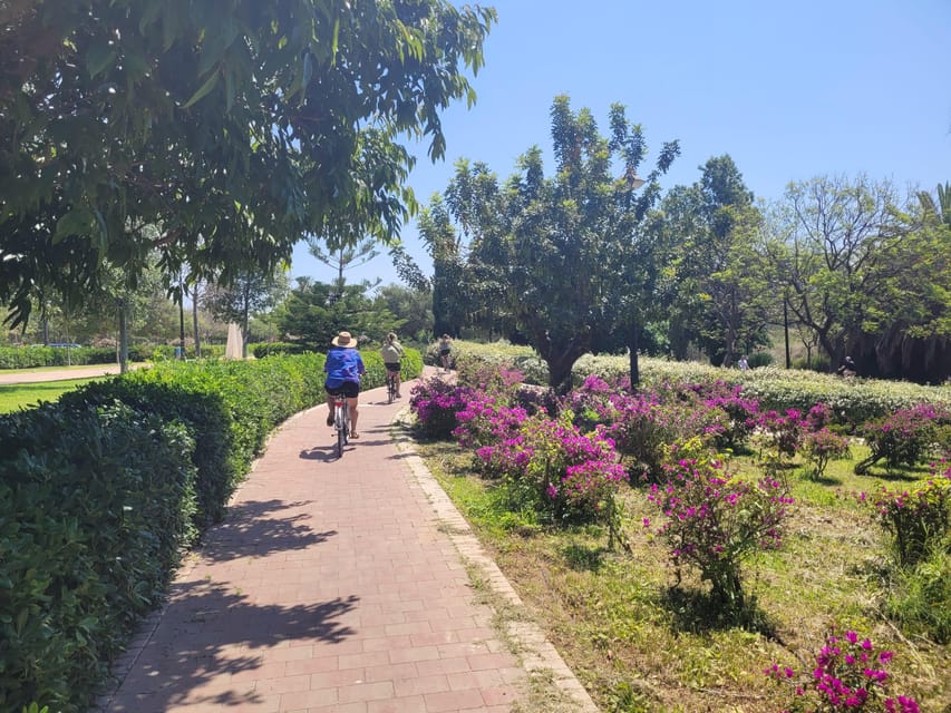 Valencia, Biketour of all the city with a local guide - Plaza de la Reina and Plaza del Ayuntamiento