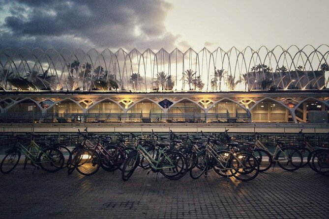 Valencia By Night Bike Tour - Plaza de la Virgen and the first ten minutes
