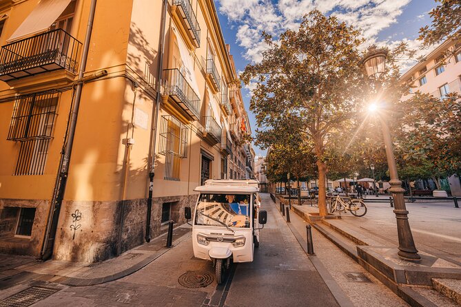Valencia by Tuk Tuk i: Private tour 1 or 2 hours explore the city - From the old center to the Marina