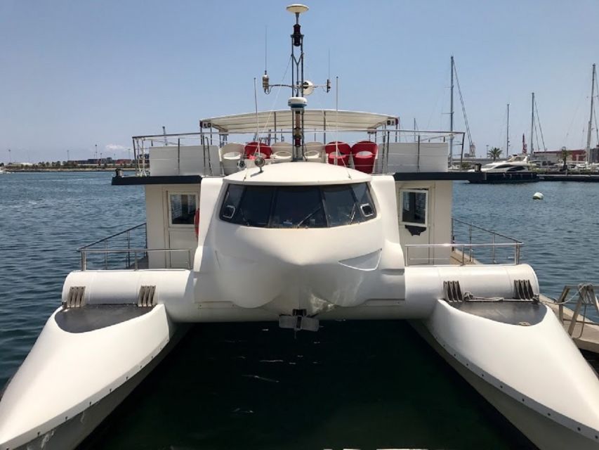 Valencia: Catamaran Cruise, Paella Lunch and Swim Stop - Key points to know before you book