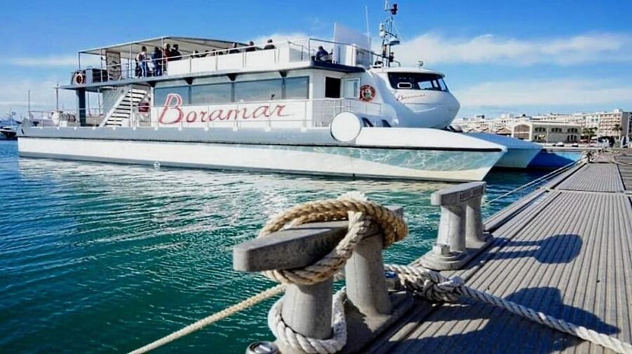 Valencia: Catamaran Cruise, Paella Lunch and Swim Stop - FAQ