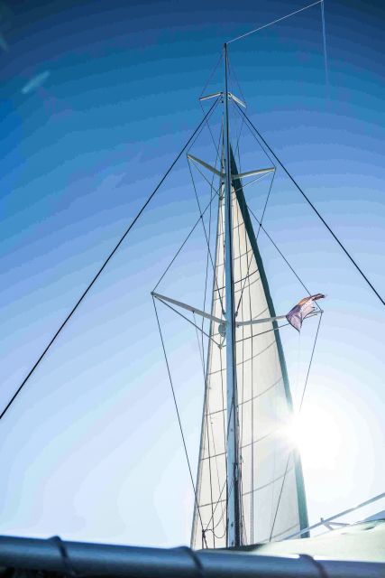 Valencia: Catamaran Cruise with Swimming & Optional DJ - Is this Valencia catamaran cruise worth booking?