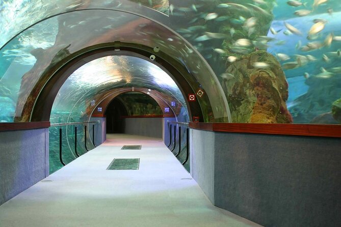 Valencia City Excursion - From Albir, Benidorm & Calpe - Key points to know before booking