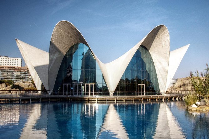 Valencia City Excursion - From Albir, Benidorm & Calpe - Oceanografic: a major extra with a time cost