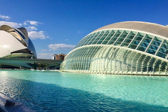 Valencia City Excursion - From Albir, Benidorm & Calpe - Mestalla Stadium for football fans