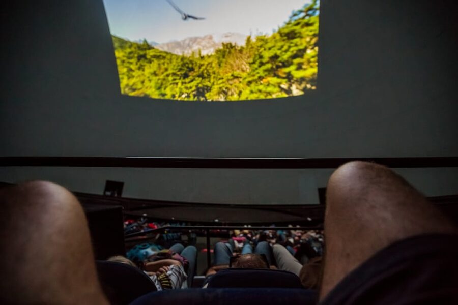 Valencia: City of Arts and Science 3D Movie at Hemisfèric - Who will enjoy this most