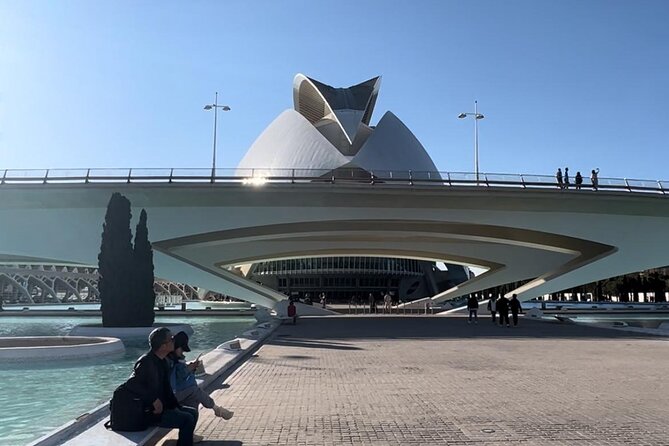 Valencia: City of Arts and Sciences Private Walking Tour - Starting at the Hemisfèric’s giant eye