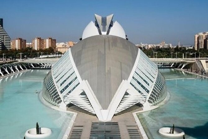 Valencia: City of Arts and Sciences Private Walking Tour - Admiring the Palau de les Arts Reina Sofía