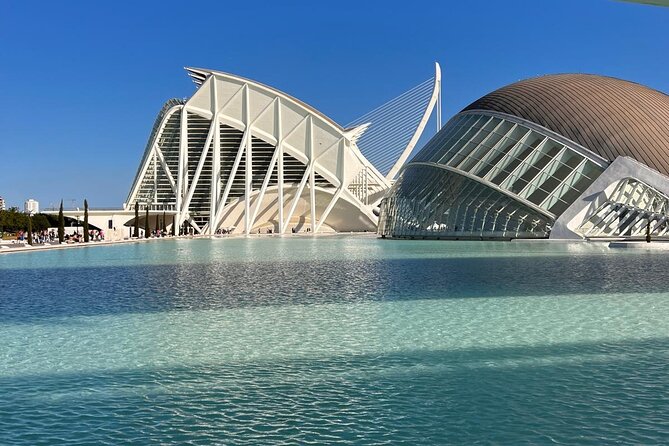 Valencia: City of Arts and Sciences Private Walking Tour - Price, meeting point, and what you are really buying
