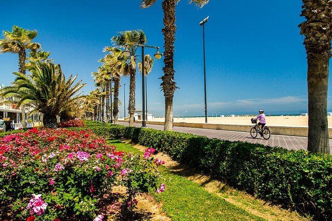 Valencia Complete Full Private Day with Hotel Pick up - Plaza de la Virgen and the city center