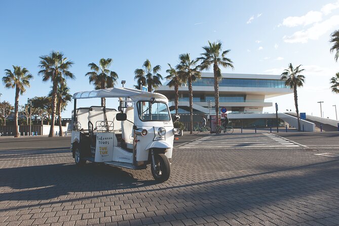 Valencia Complete Tour by Tuk Tuk - The Turia riverbed and Palau de la Música