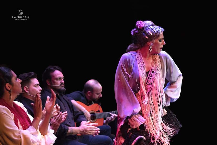 Valencia: Flamenco Show with Dinner at La Bulería - Who will enjoy this Valencia night out