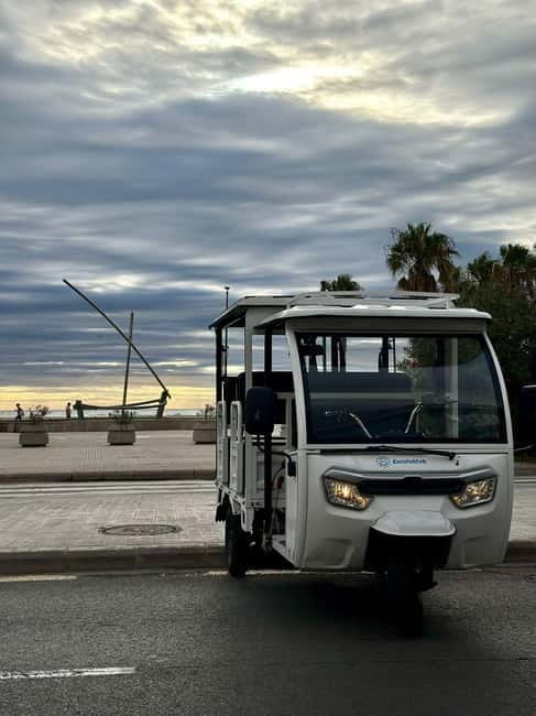 Valencia: Full Tuk Tuk Tour 2H - Porta de la Mar and the Flowers Bridge