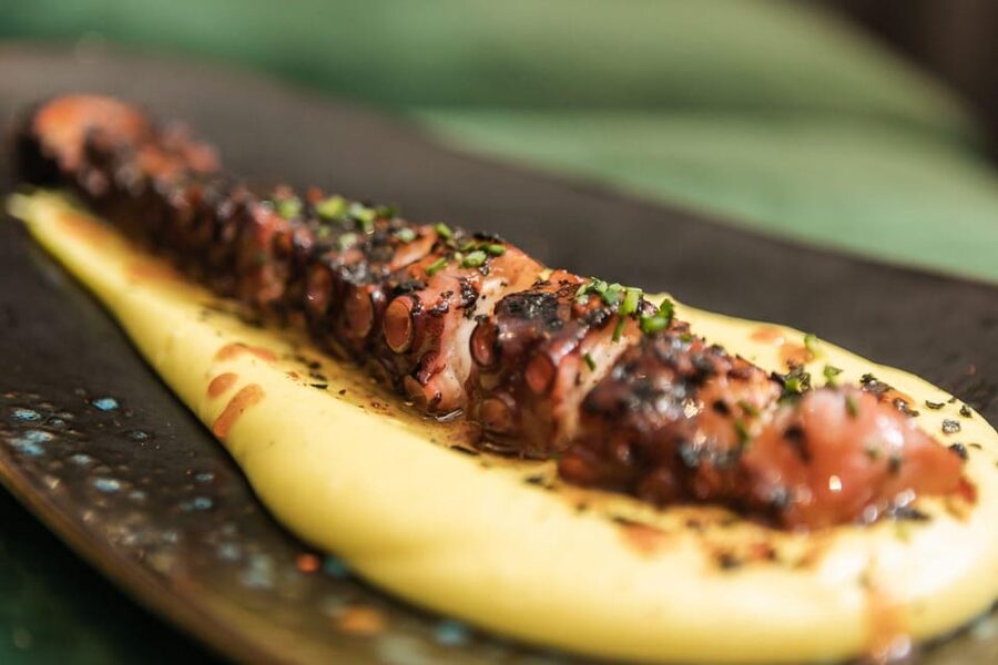 Valencia: Gourmet Food & Wine Tour - Who should book this food tour