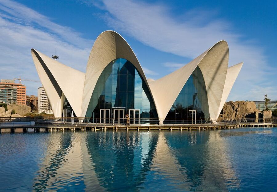 Valencia: Guided City Walking Tour with Tapas Tastings - Who will get the most from this walk