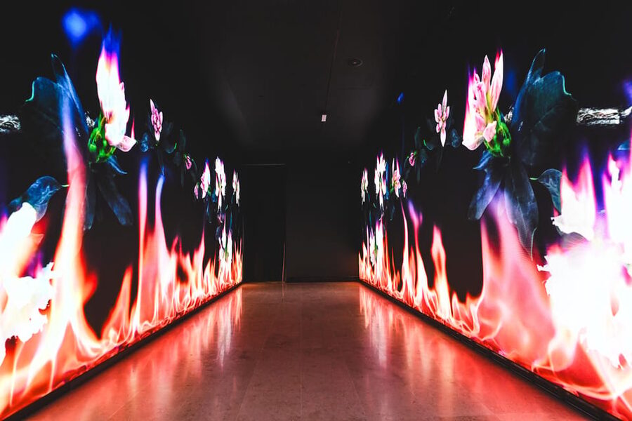 Valencia: Hortensia Herrero Art Center Ticket or Guided Tour - Contemporary art from Gursky to Eliasson