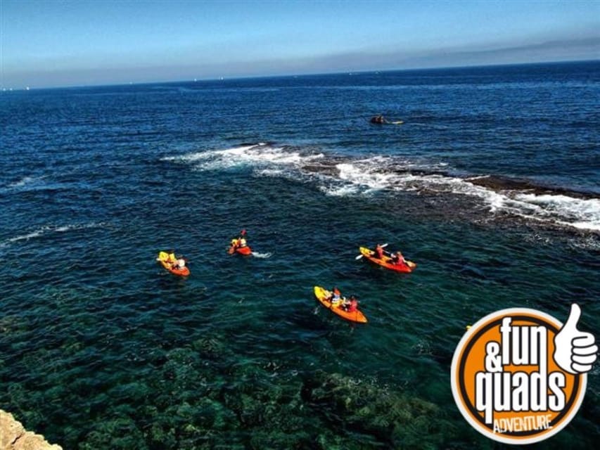 Valencia: Kayak Excursion - How the guides shape the experience
