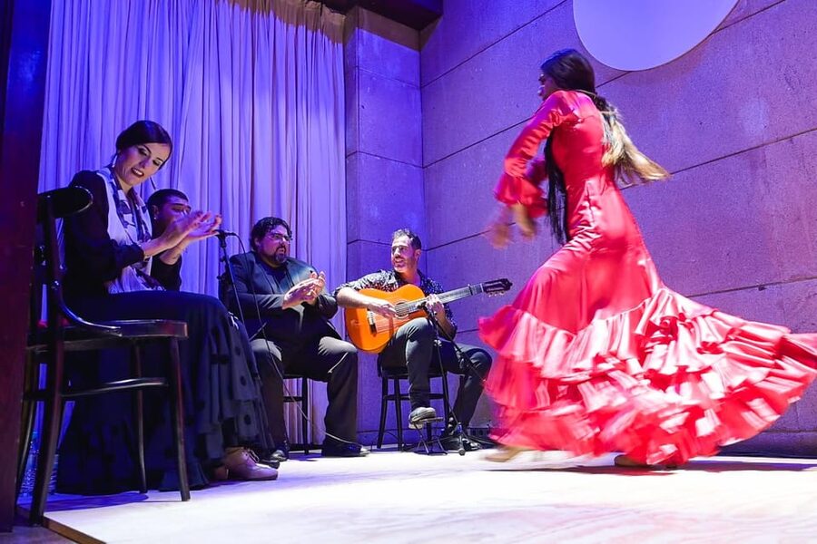 Valencia: La Linterna Flamenco Show - A useful first flamenco experience