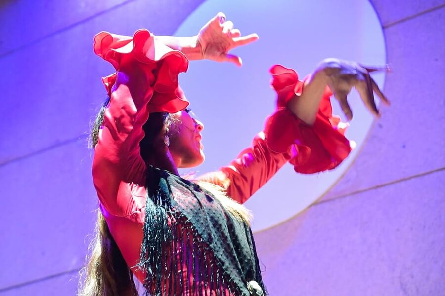 Valencia: La Linterna Flamenco Show - Cancellation, payment, and access