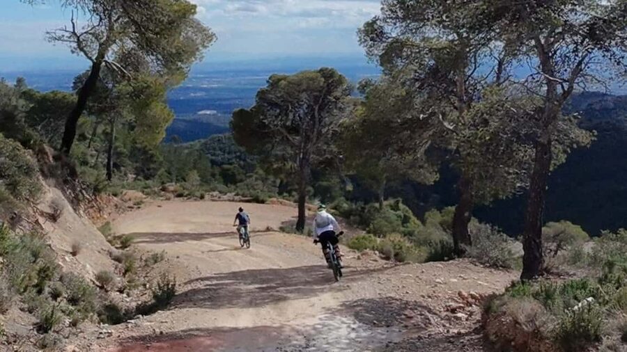 Valencia: Mountain E-Bike Tour + Transfers + Drone Footage - Views, breaks, and the drone footage