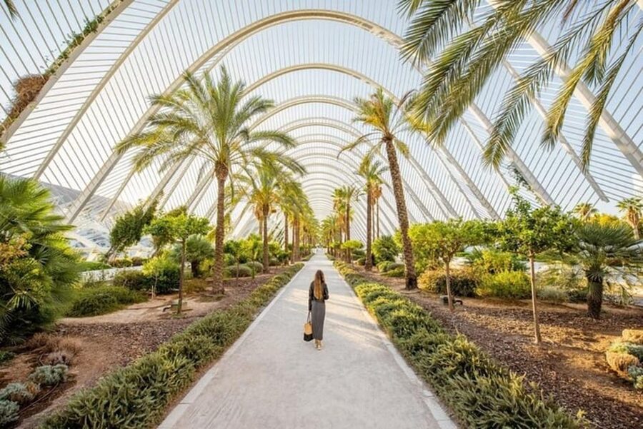 Valencia: Must-See Attractions Walking Tour - Basilica of the Virgin and Valencia’s religious center