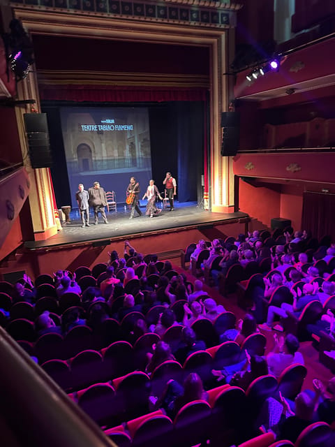 Valencia: New Flamenco Show in the Most Emblematic Theater of the City - Key points to know before booking