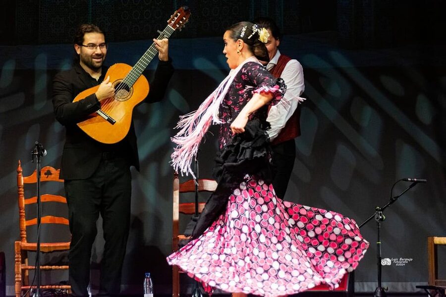 Valencia: New Flamenco Show in the Most Emblematic Theater of the City - Is $23 a good value in Valencia?