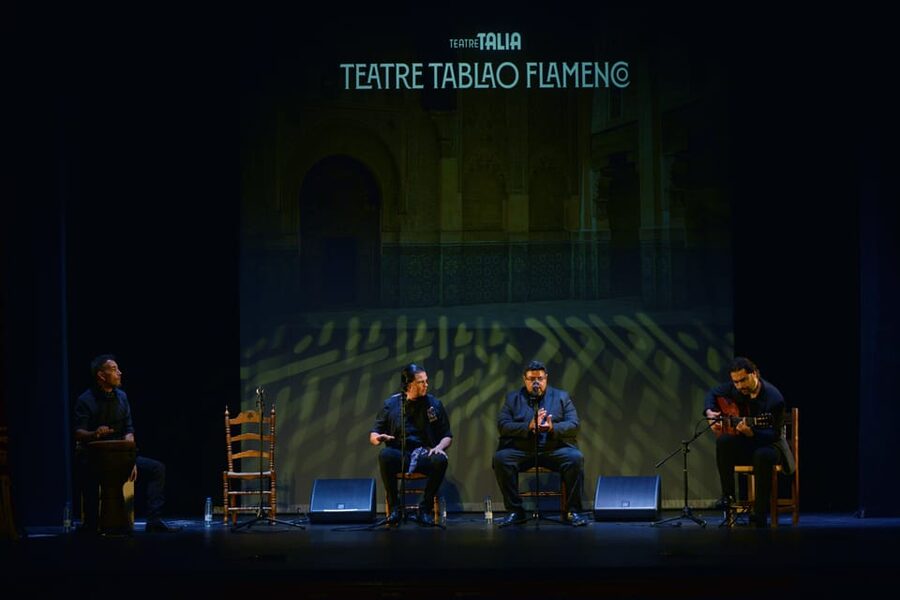 Valencia: New Flamenco Show in the Most Emblematic Theater of the City - Who will enjoy this flamenco show most?